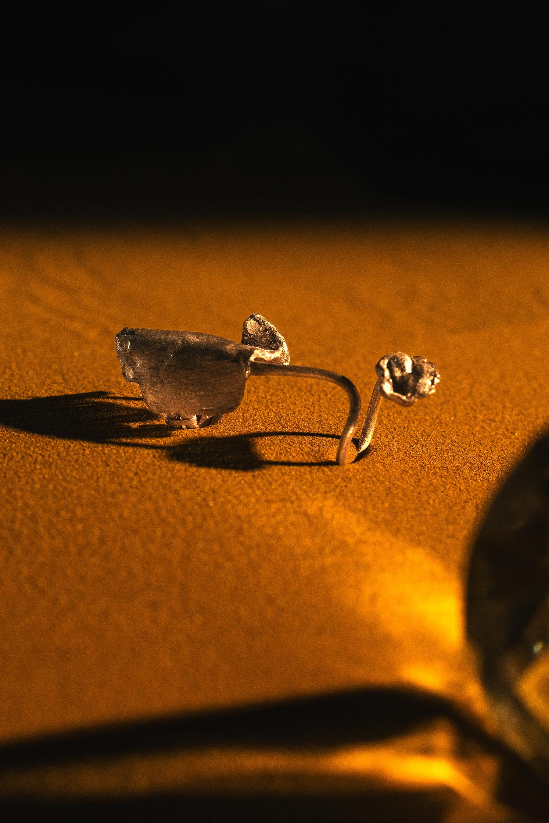 Front full shot of silver ring on sand